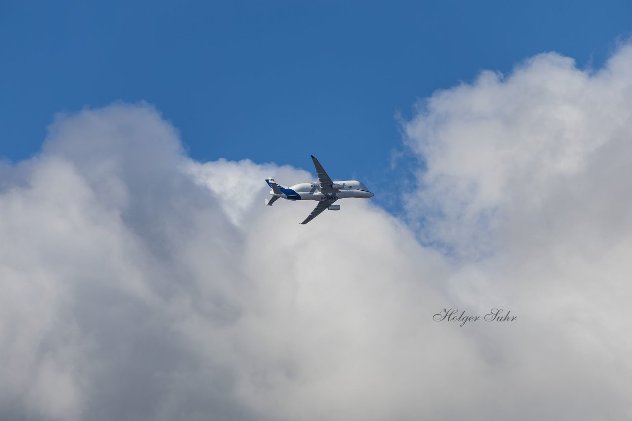 Bild 288 - wCJ Eimsbuettler TV - FC Rosengarten : Ergebnis: 2:0